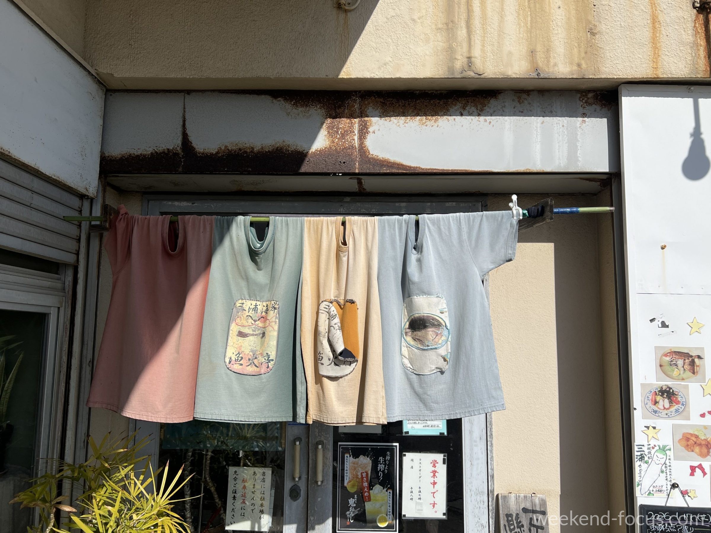 Carl Zeiss Jena Pancolar 50mm f1.8