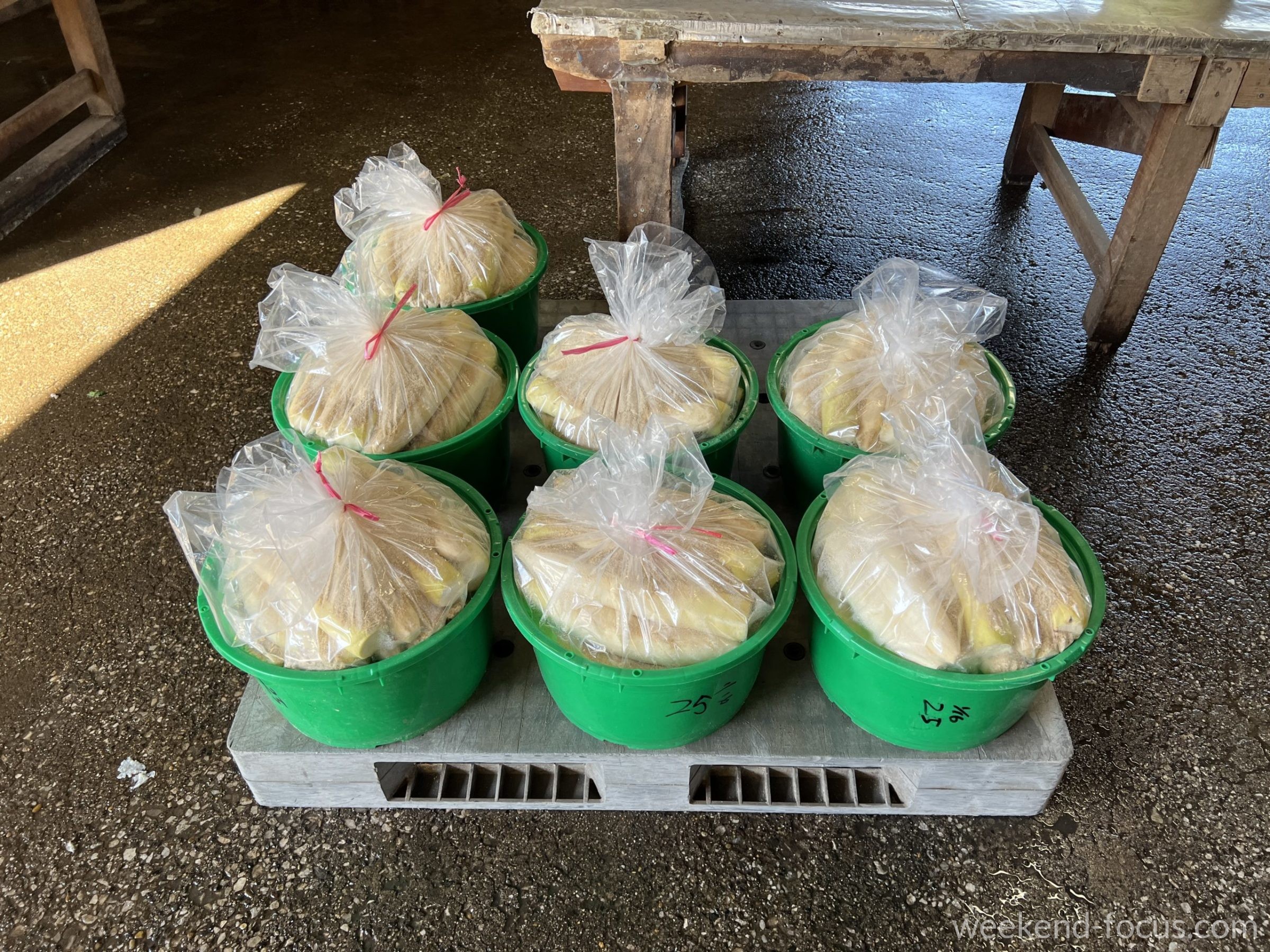 三浦大根で漬けた沢庵