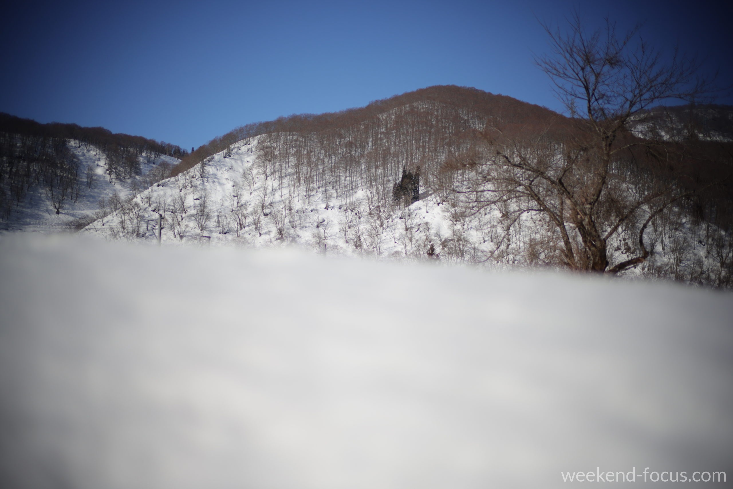 NOKTON 50mm F1, Canon EOS R5, 1/2000, F1.0, ISO 200, 雪山の前ボケ(ND8)