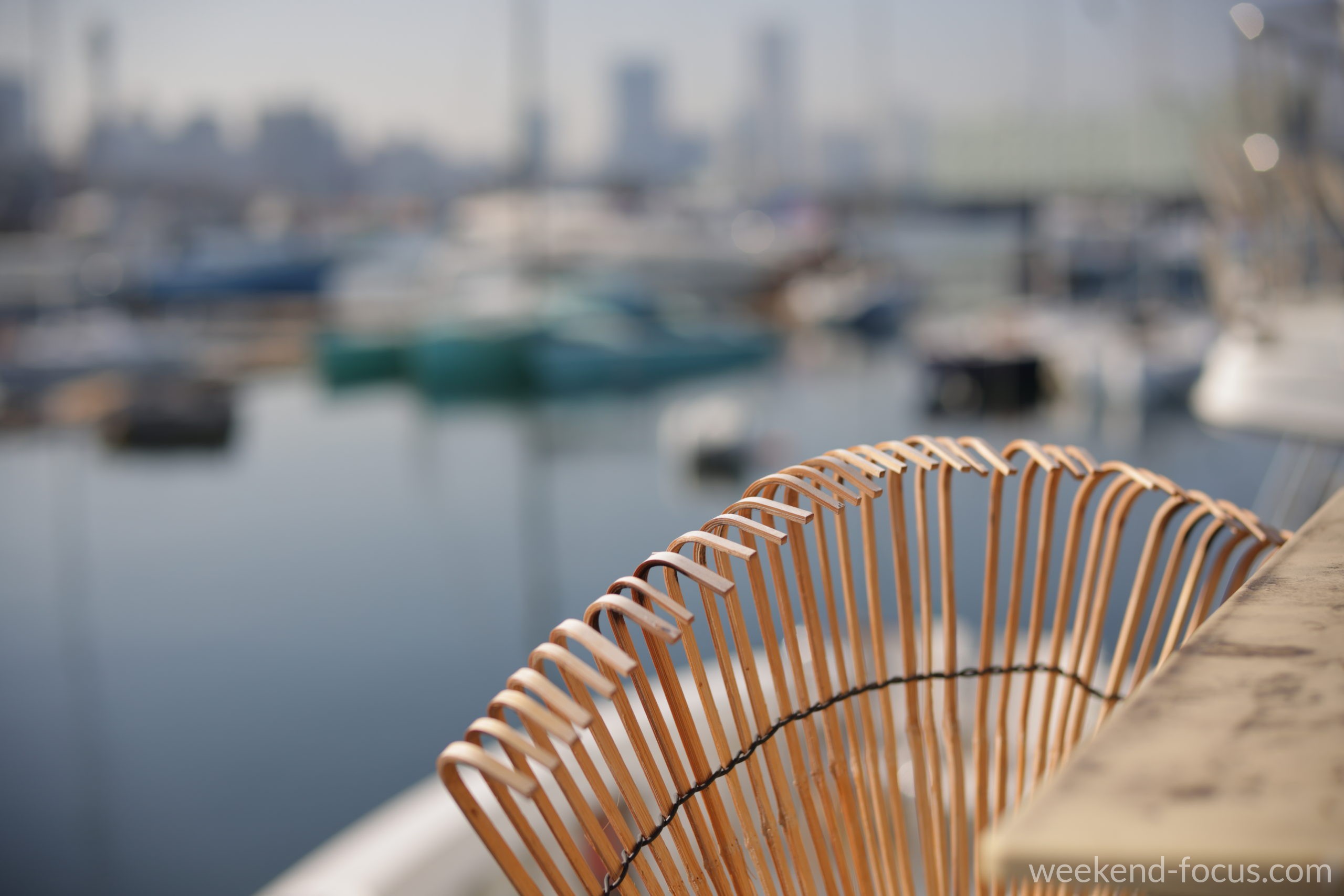 NOKTON 50mm F1, Canon EOS R5, 1/2500, F2.8, ISO 100, 熊手