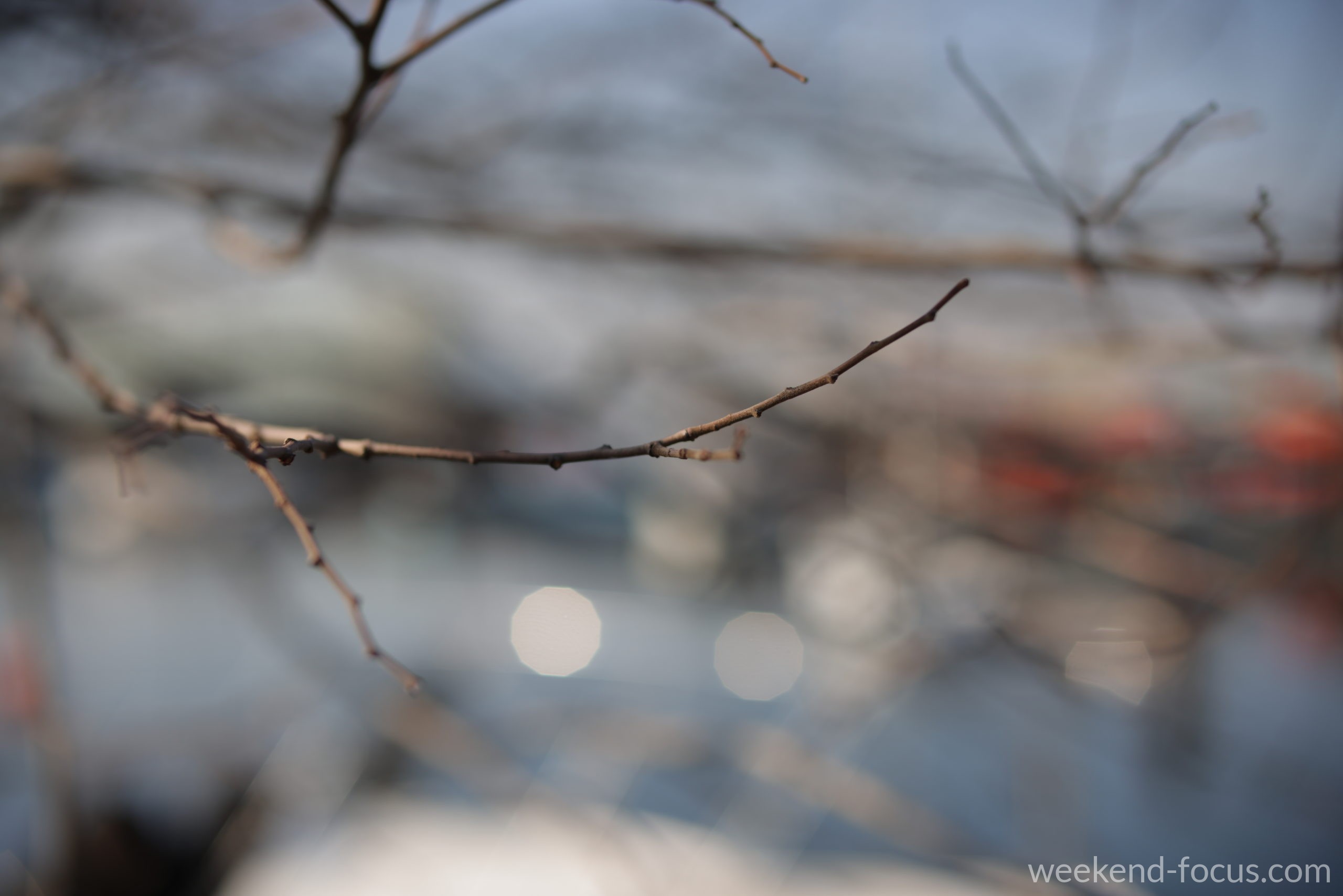 NOKTON 50mm F1, Canon EOS R5, 1/1600, F2.8, ISO 100, 玉ボケ