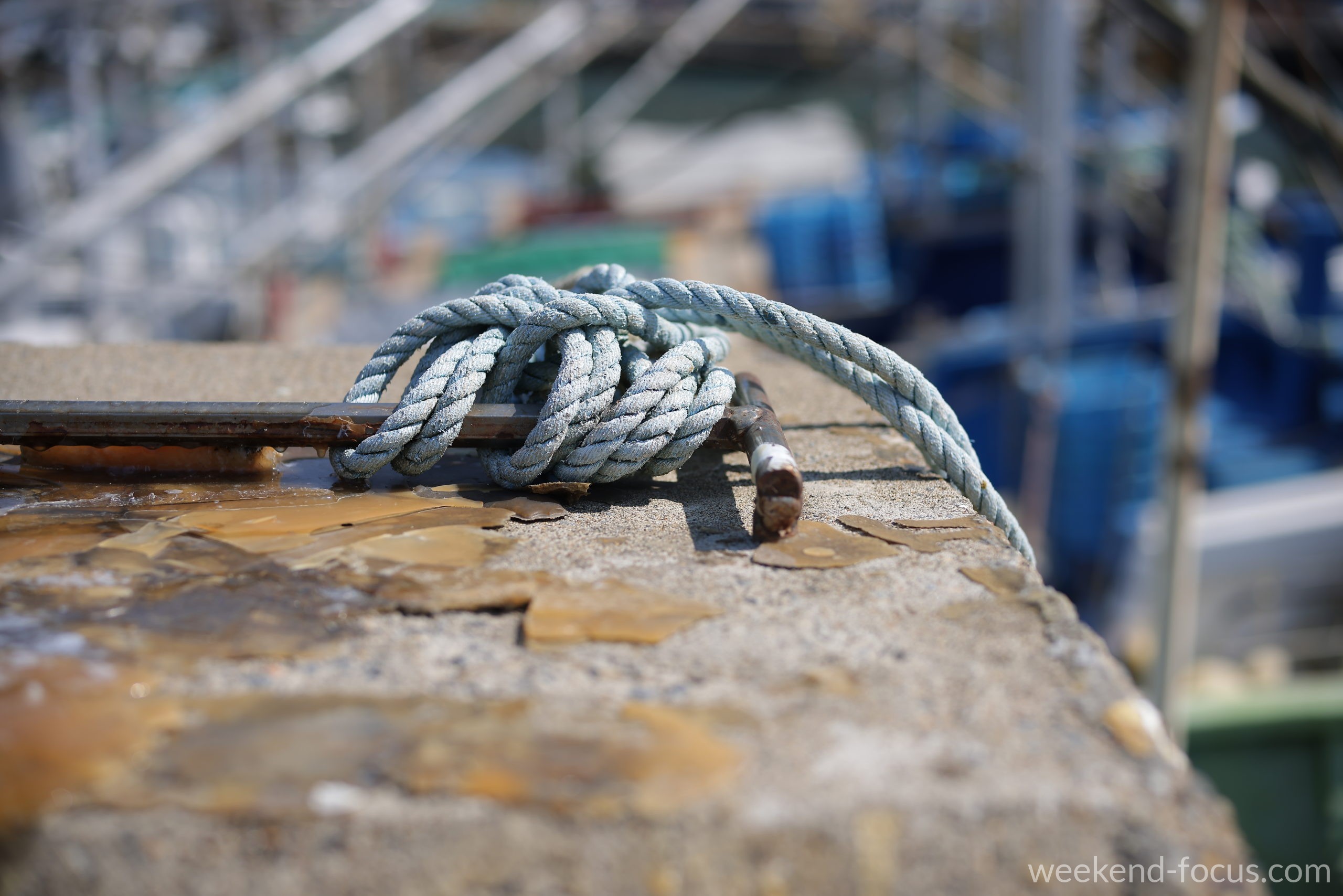 NOKTON 50mm F1, Canon EOS R5, 1/3200, F2.8, ISO 100, 剥落を克明に描く質感